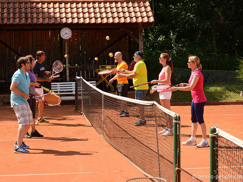 Das Bild zeigt mehrere Tennisspieler die am Netz stehen